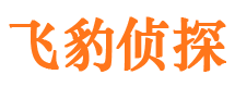 桦川找人公司